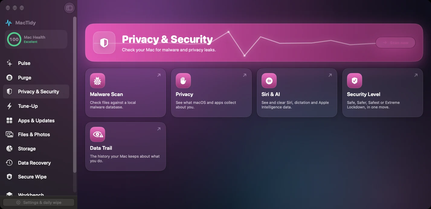 MacTidy Privacy and Security category screen.